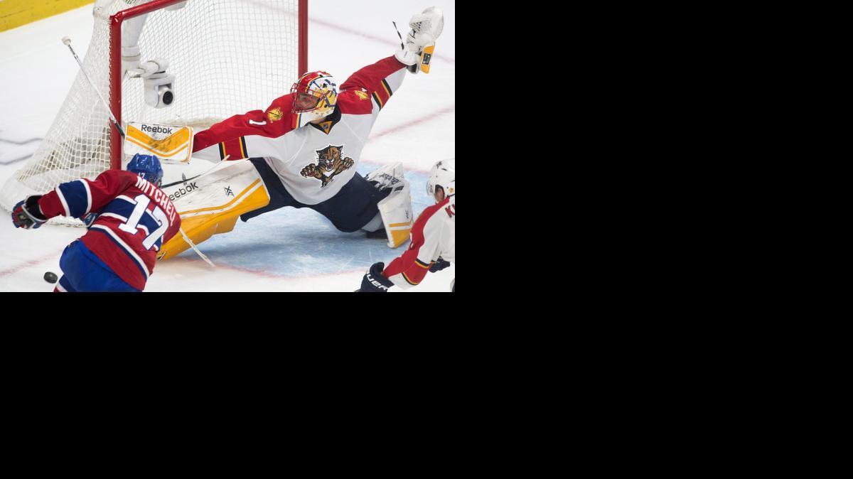 
Florida Panthers goaltender Roberto Luongo makes a save on Montreal Canadiens' Torrey Mitchell during third period NHL hockey action in Montreal on March 28, 2015.
