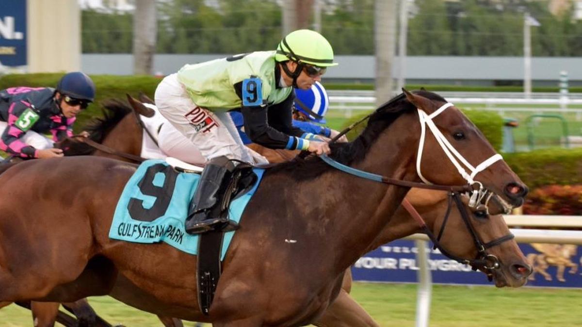 Flatlined at the finish in Saturday’s $200,000 Fort Lauderdale (G2) at Gulfstream Park.