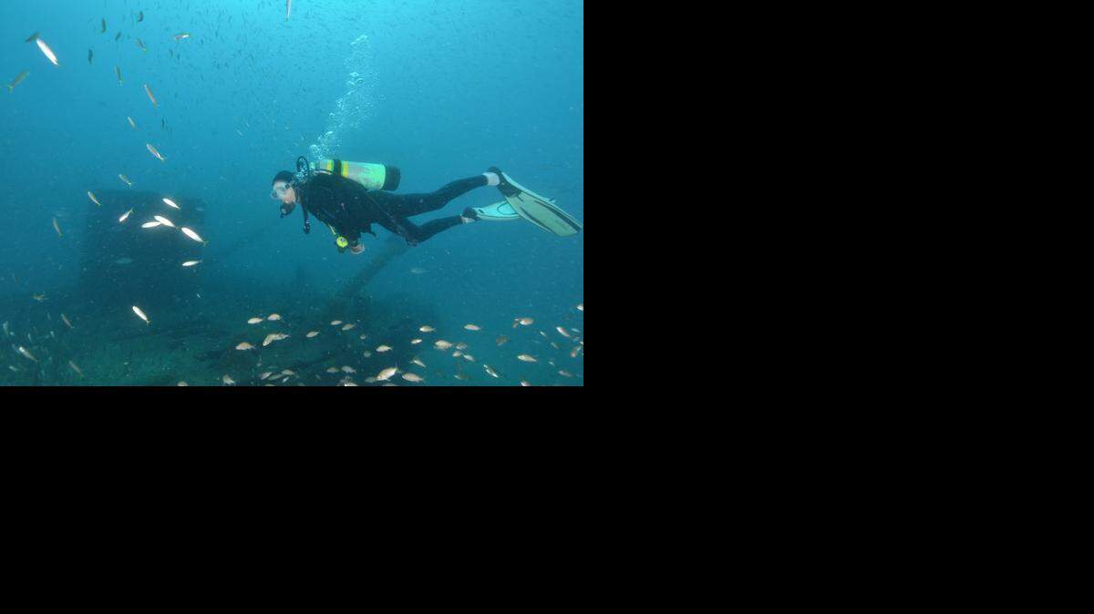 
A scuba diver explores the wreck of the DMC Barge about 60 feet deep off Fort Pierce.
