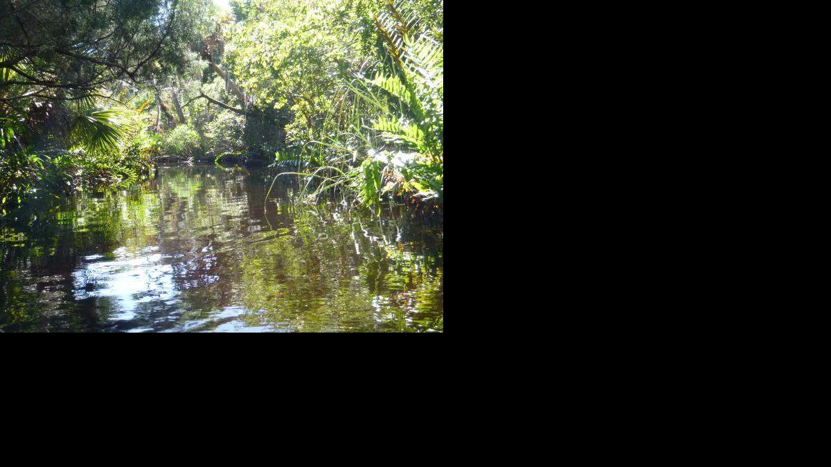 
The scenic Chassahowitza River near Homosassa.
