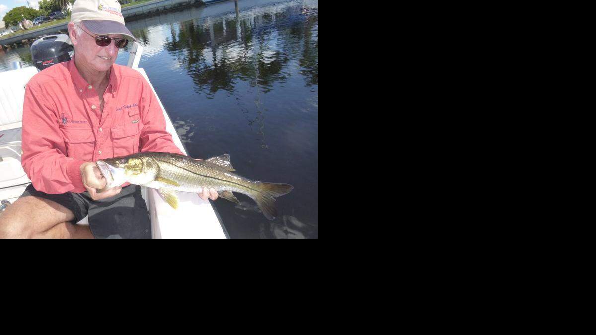 
Captain Ralph Allen prepares to release a snook that was caught in a canal in Punta Gorda during a recent outing.
