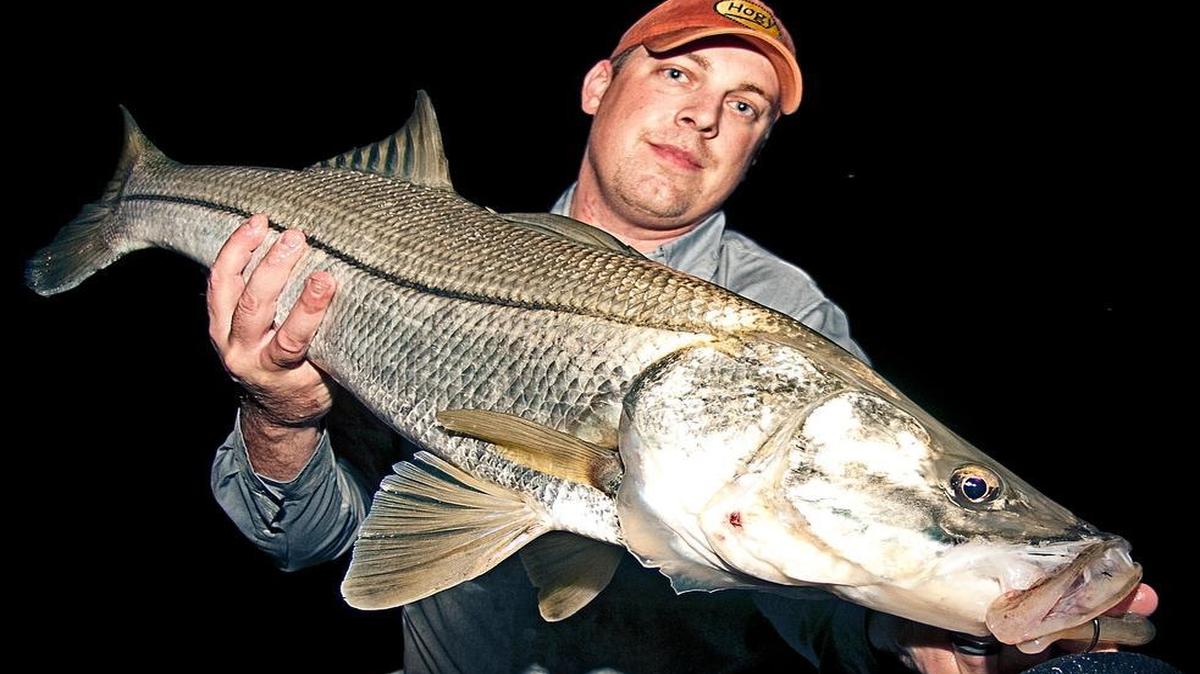 
Captain Ross Gallagher caught a snook on an HDUV Jiggin Eel rigged on a one-ounce Hogy jig head.
