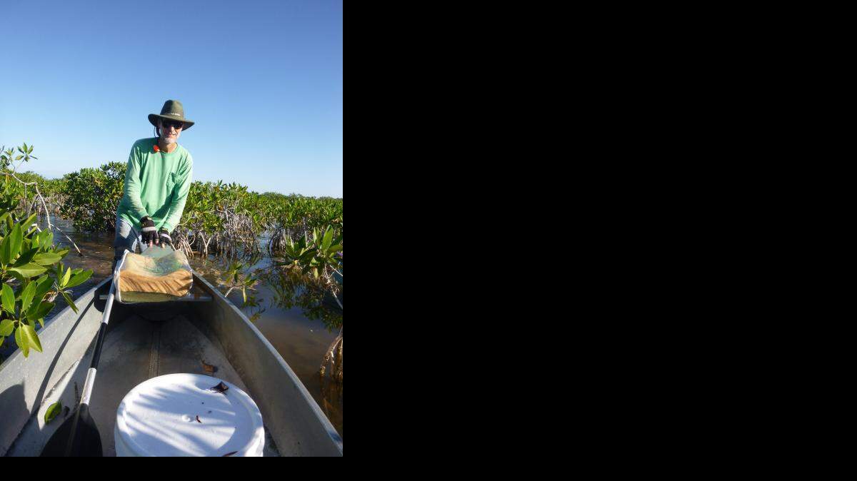 
Terry Helmers of South Miami pushes his canoe through the “Widowmaker” — a tricky shallow area of mangroves in Everglades National Park.
