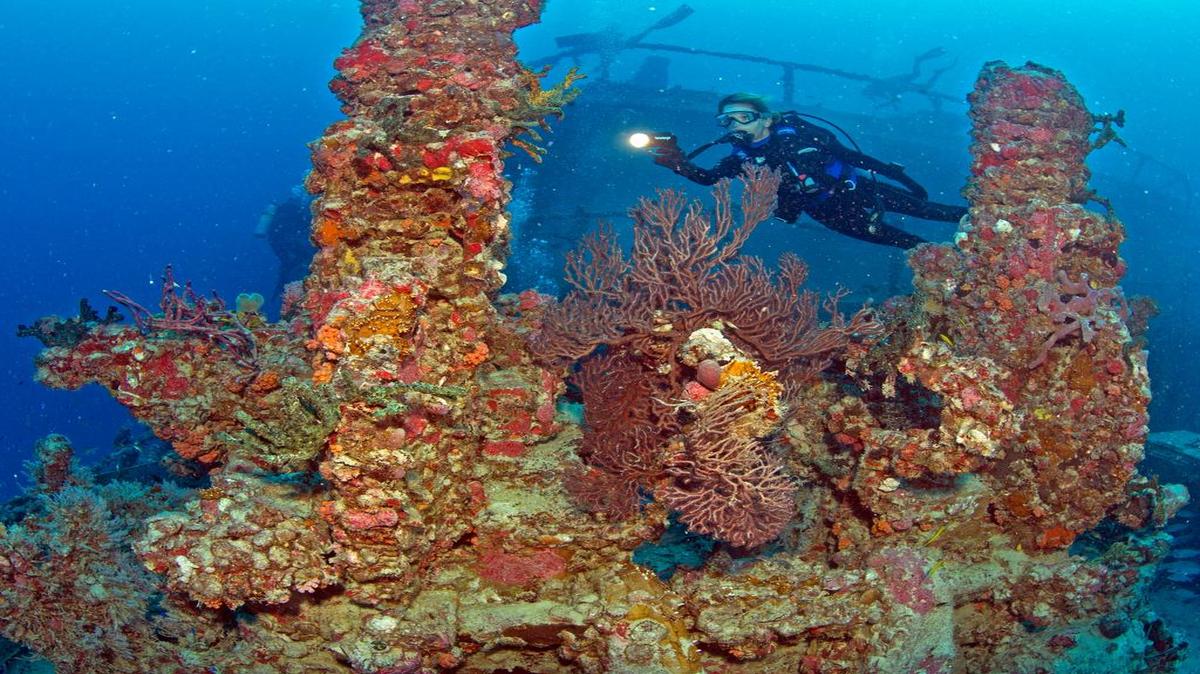 
In this photo provided by the Florida Keys News Bureau, Annette Robertson explores a portion of the artificial reef Spiegel Grove Wednesday, May 16, 2012, in the Florida Keys National Marine Sanctuary, off Key Largo, Fla.
