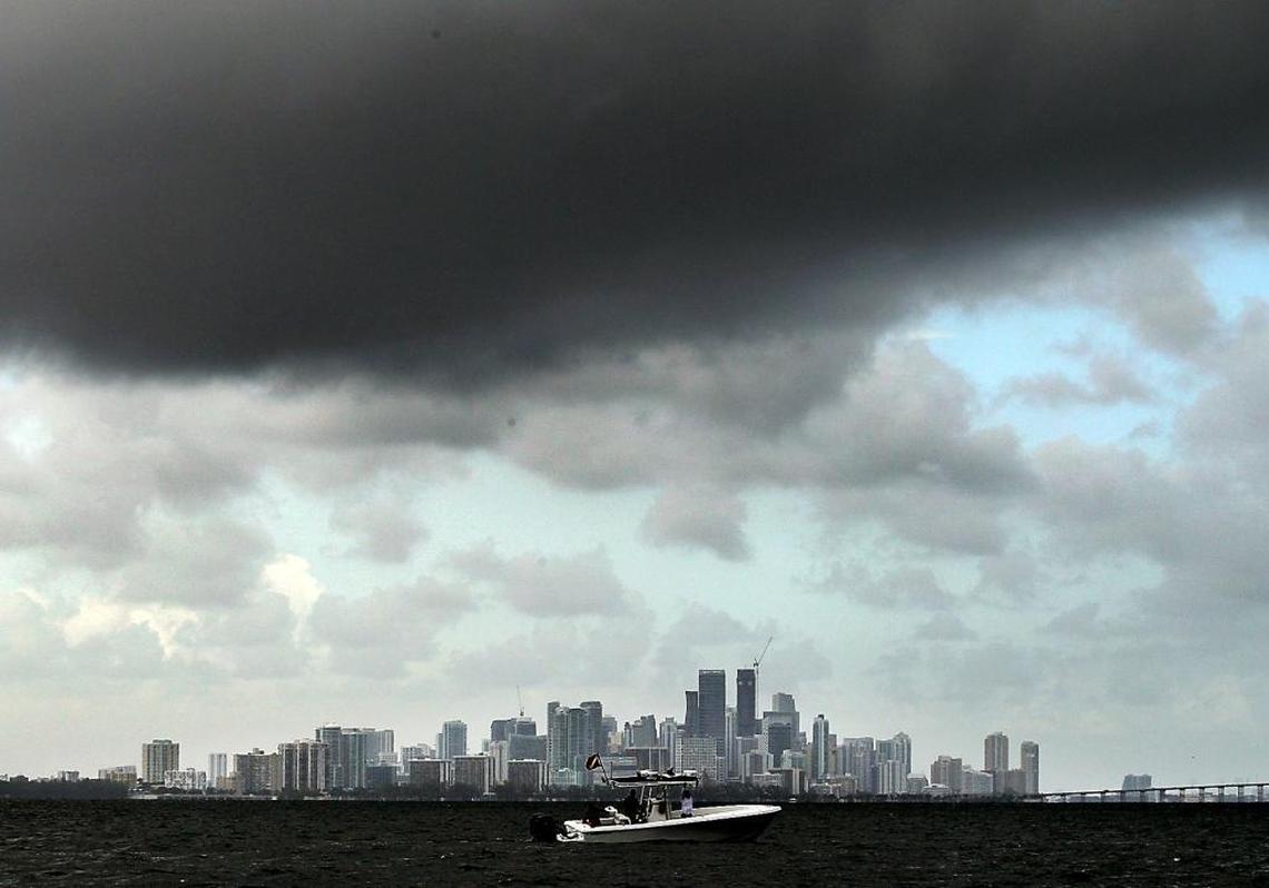 Divers look for lobsters in Biscayne Bay as clouds move in over downtown Miami during the state's two-day lobster mini-season on Wednesday, July 26, 2017.