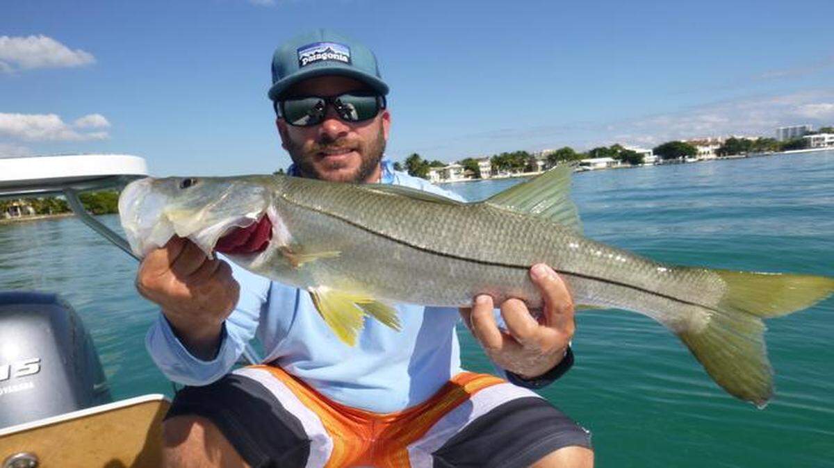 
Just one of many: Captain Raul Montoro holds up a slot-sized snook that was caught and released recently next to a sea wall in Biscayne Bay.
