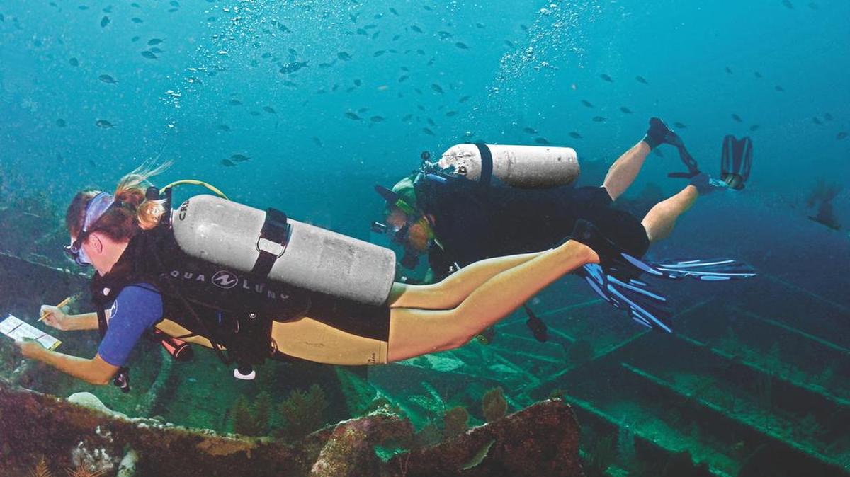 
Reef Environmental Education Foundation divers conduct a fish survey over the wreck of the Benwood.
