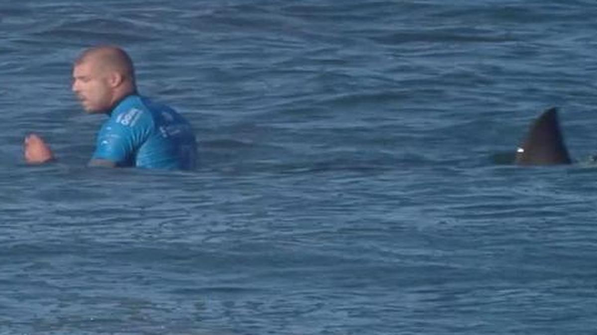
In this screen shot taken from video made available by the World Surf League, Australian surfer Mick Flanning’ is pursued by a shark in Jeffrey's Bay, South Africa, on Sunday, July 19, 2015. 
