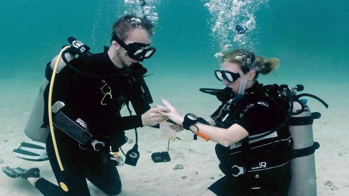 Sven Krasser proposes to Shannon Statham on Pleasure Reef off Key Largo. Krasser grew up in Germany and Statham, who accepted Krasser’s proposal, was raised in Jacksonville.