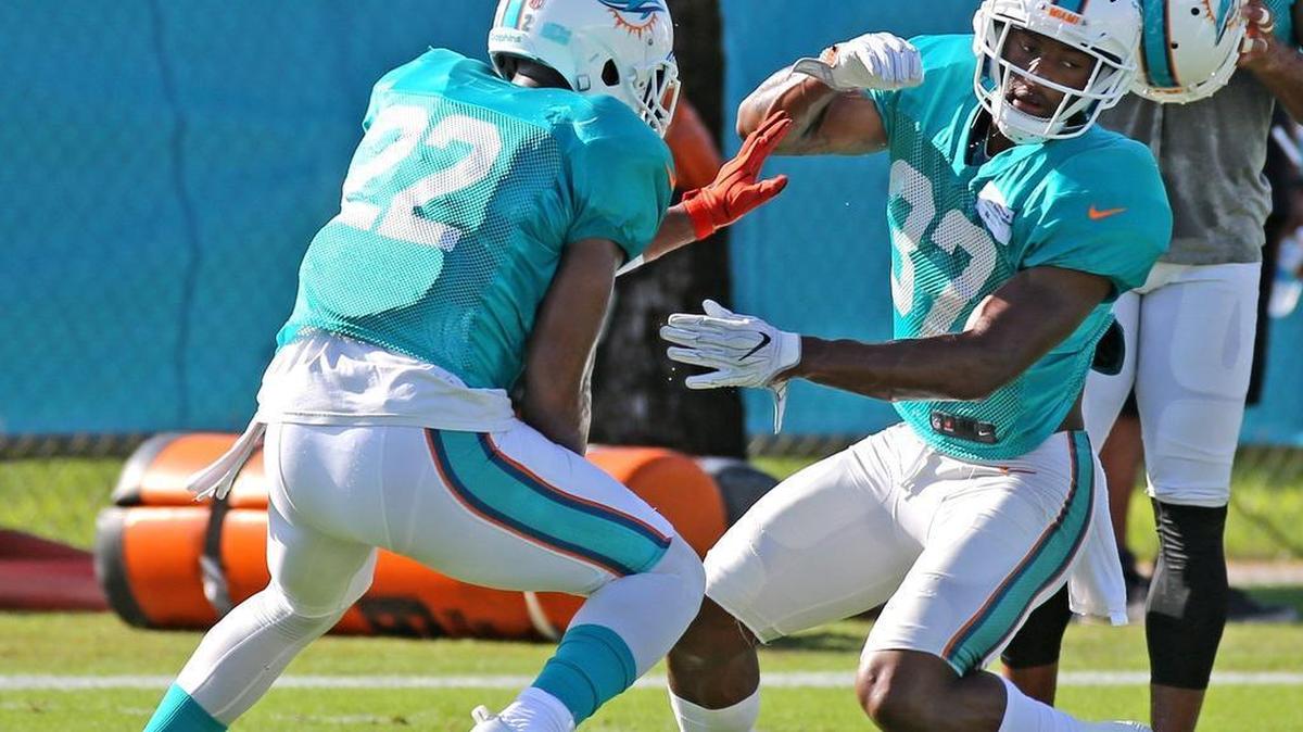 Miami Dolphins defensive backs T.J. McDonald (22) and A.J. Hendy run a drill during training camp at the Miami Dolphins training facility in Davie in August.