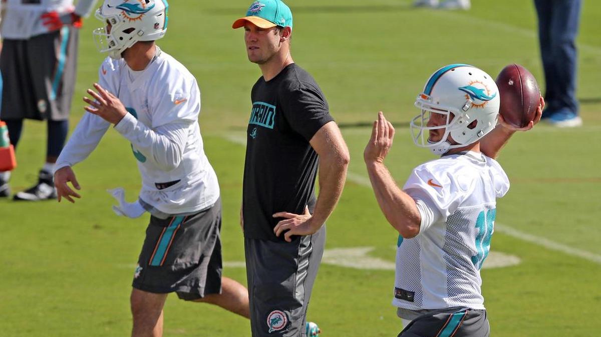 Miami Dolphins quarterback Ryan Tannehill missed the final three regular season games and the playoff loss to Pittsburgh because of a knee injury but the Dolphins believe his mobility will not be affected this season.