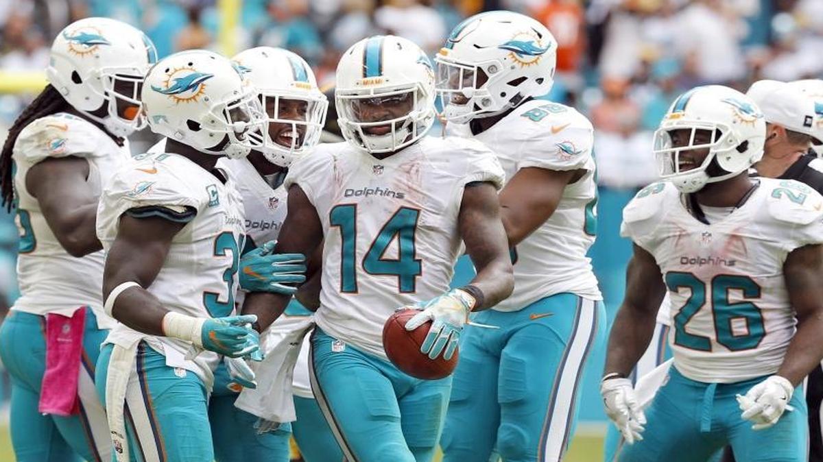 The Dolphins’ Jarvis Landry (14) said of the team’s recent success: ‘You can feel the guys just love to be here, having fun at practice, joking around, clowning around. But at the same time, we want this taste to stay in our mouths. We want to continue to have success and build off of what we’ve done so far.’