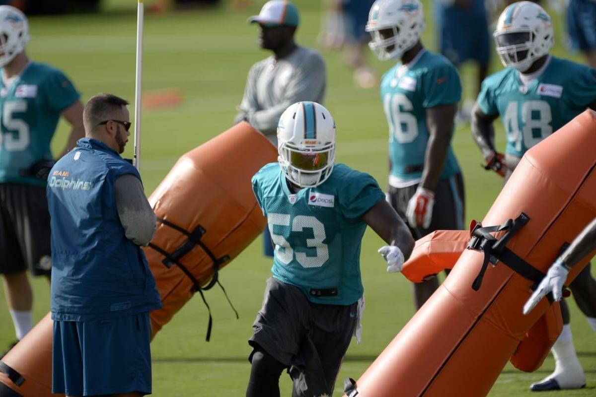 Linebacker Jelani Jenkins does linebacker drills during the second day of Dolphins training camp on July 31 at the team‚ training facility in Davie, Fl.