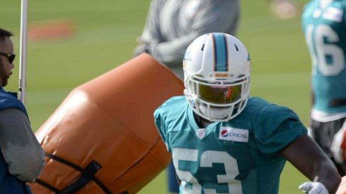 Linebacker Jelani Jenkins does linebacker drills during the second day of Dolphins training camp on July 31 at the team‚ training facility in Davie, Fl.