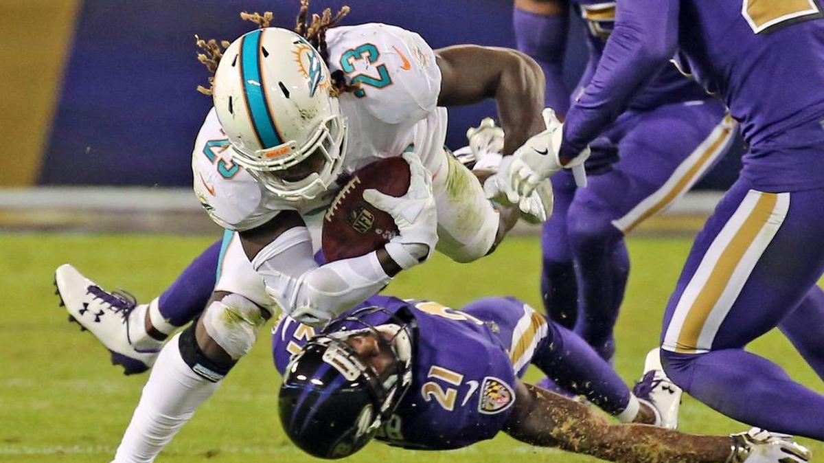 The Miami Dolphins played the Baltimore Ravens last season, a game they lost 40-0.