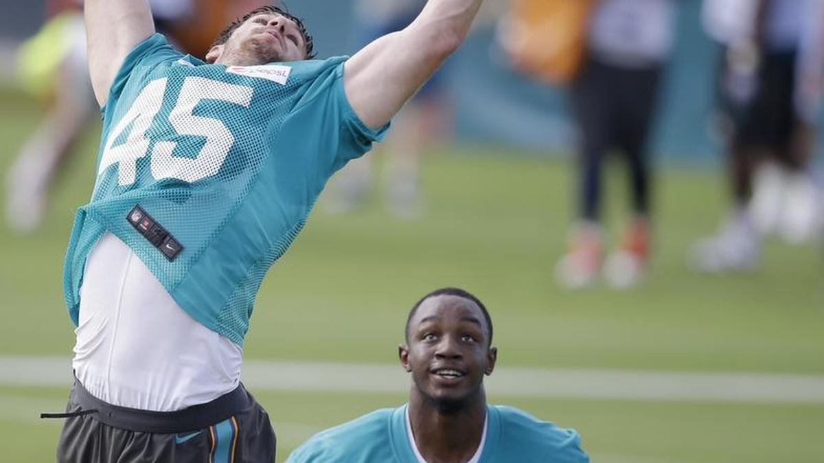 Miami Dolphins linebacker Mike Hull catches the football during a training camp drill in 2015.