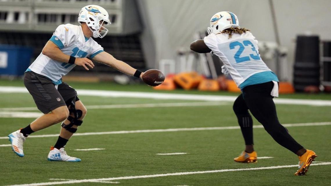 Miami Dolphins quarterback Ryan Tannehill hands the ball off to running back Jay Ajayi during OTAs practice at the Miami Dolphins training facility.