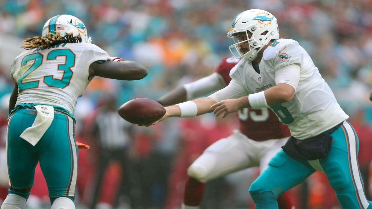 Miami Dolphins quarterback Matt Moore hands off the football to running back Jay Ajayi in the fourth quarter of an NFL football game against Arizona Cardinals at Hard Rock Stadium on Sun., Dec. 11, 2016, in Miami Gardens.