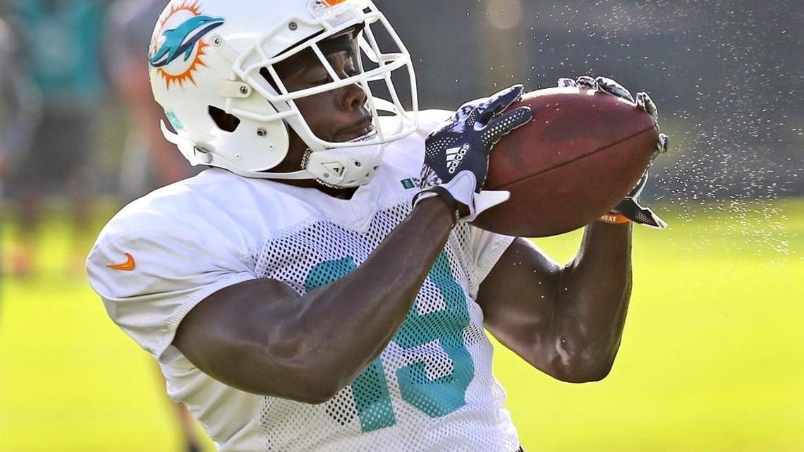 Wide receiver Jakeem Grant catches a pass during a drill at the Miami Dolphins training facility in Davie, Florida, August 15, 2016.