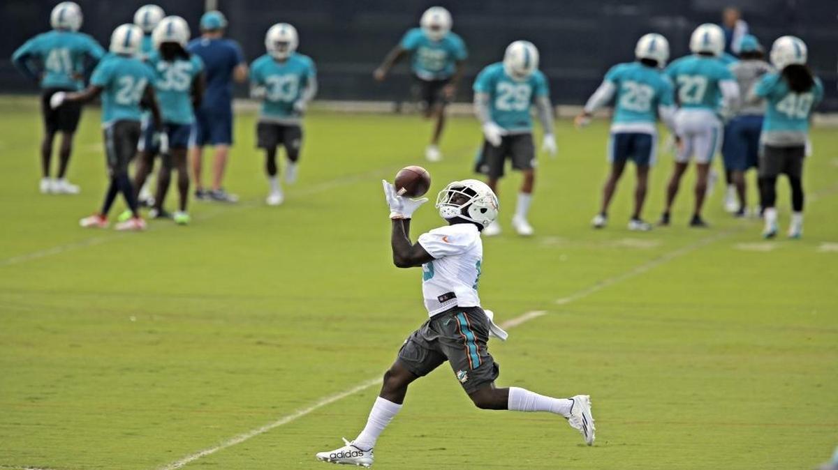 Miami Dolphins Jakeem Grant (19) during Dolphins mini-camp at Doctors Hospital Training Facility at Nova Southeastern University on Thurs., June 16, 2016.