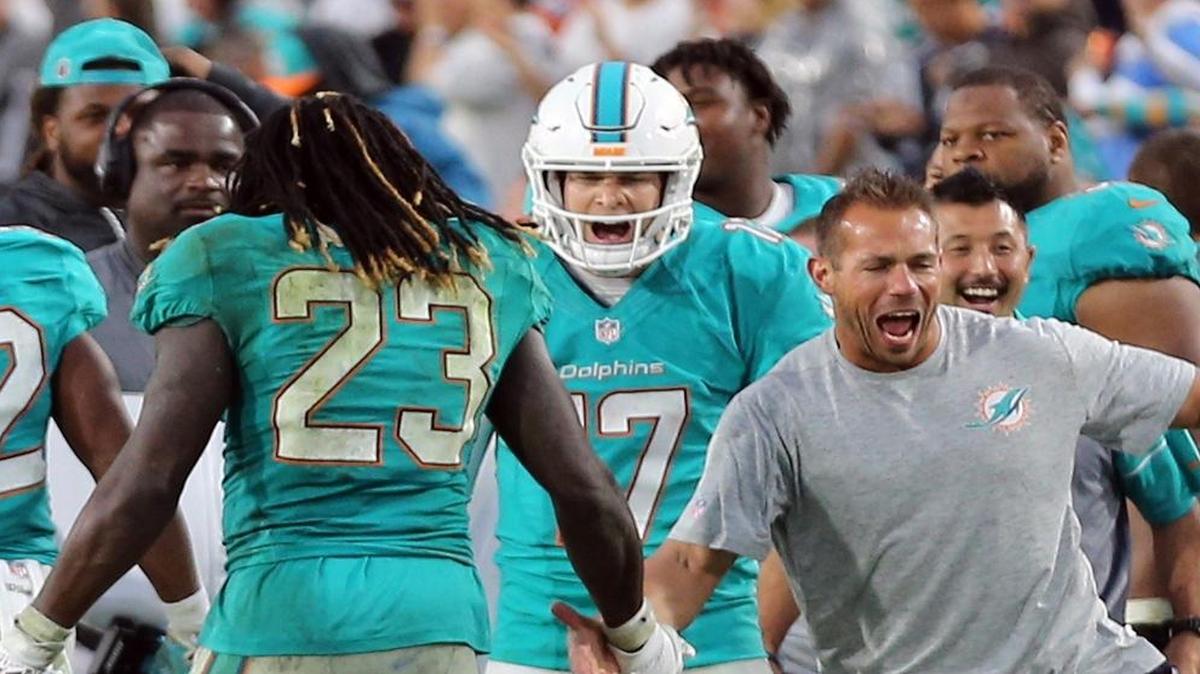 Miami Dolphins quarterback Ryan Tannehill celebrates on the sideline after throwing the winning touchdown in the final seconds of the fourth quarter as they defeat the Los Angeles Rams at the Los Angeles Memorial Coliseum in Los Angeles, California, Nov. 20, 2016.
