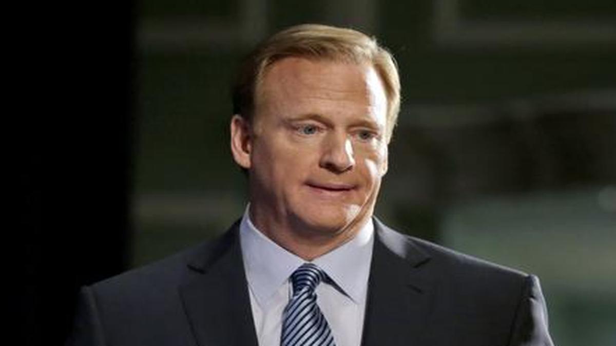 
Roger Goodell: The NFL commissioner speaks at a news conference Friday in response to criticism of the handling of domestic abuse. 
