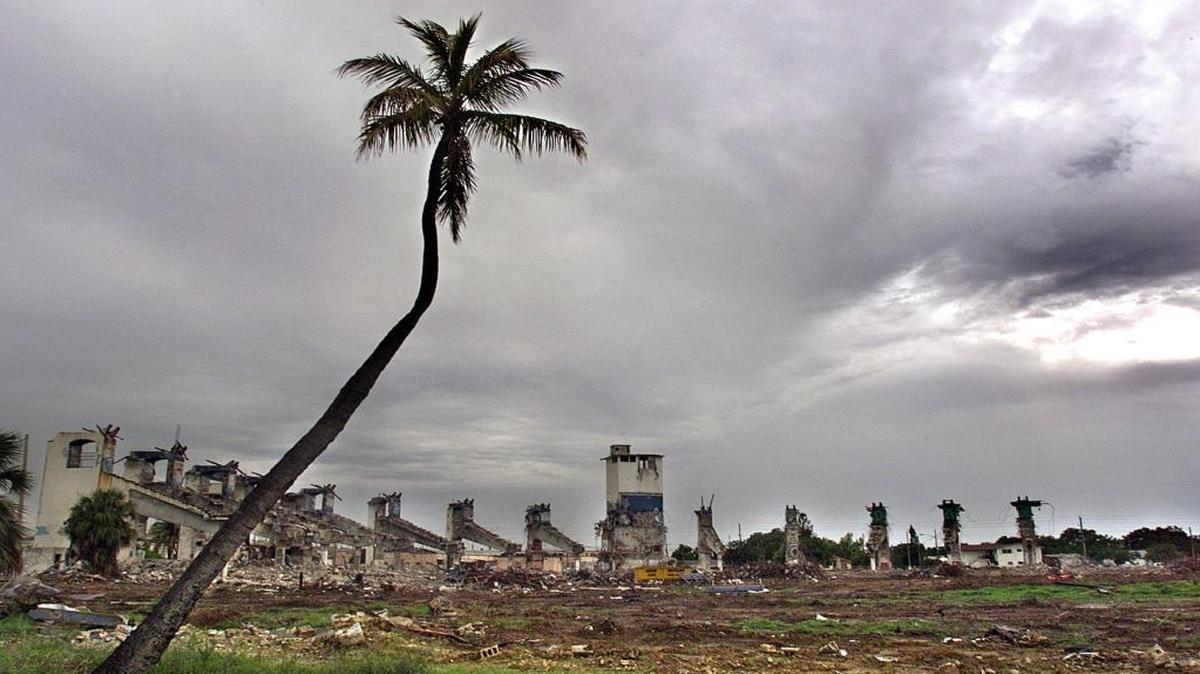 This lone palm has stood sentinel over the right-field wall for decades and still stands as the last remnants of Bobby Maduro Miami Baseball Stadium is leveled June 29, 2001, to make room for affordable housing.