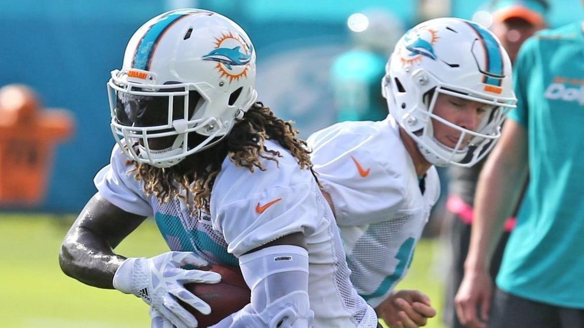 Miami Dolphins quarterback Ryan Tannehill hands the ball off to running back Jay Ajayi on the first day of training camp at the Miami Dolphins facility in Davie, Fl, July 27, 2017.