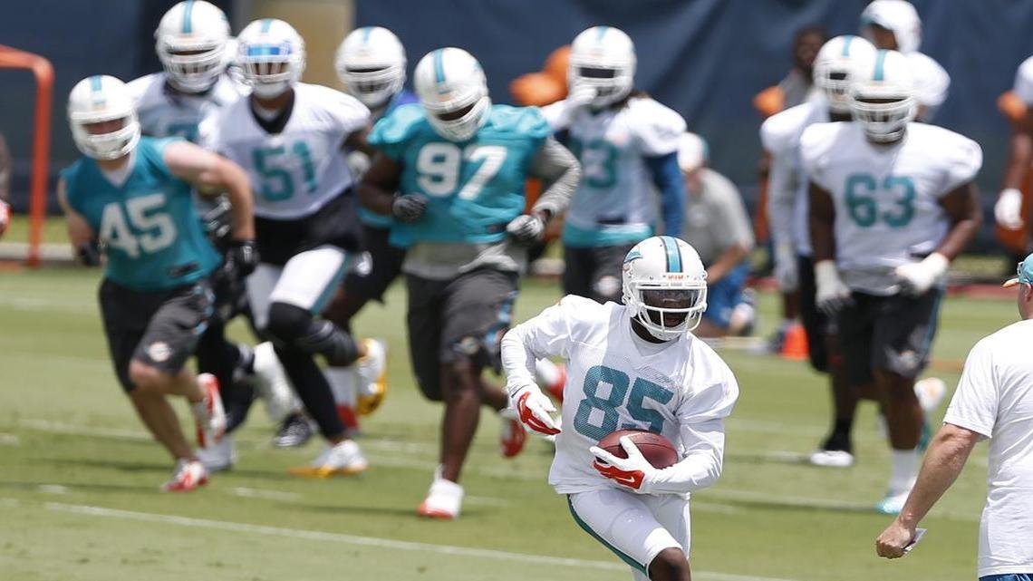 
Crisp routes: Greg Jennings, right, has impressed Dolphins quarterback Ryan Tannehill in offseaon workouts.
