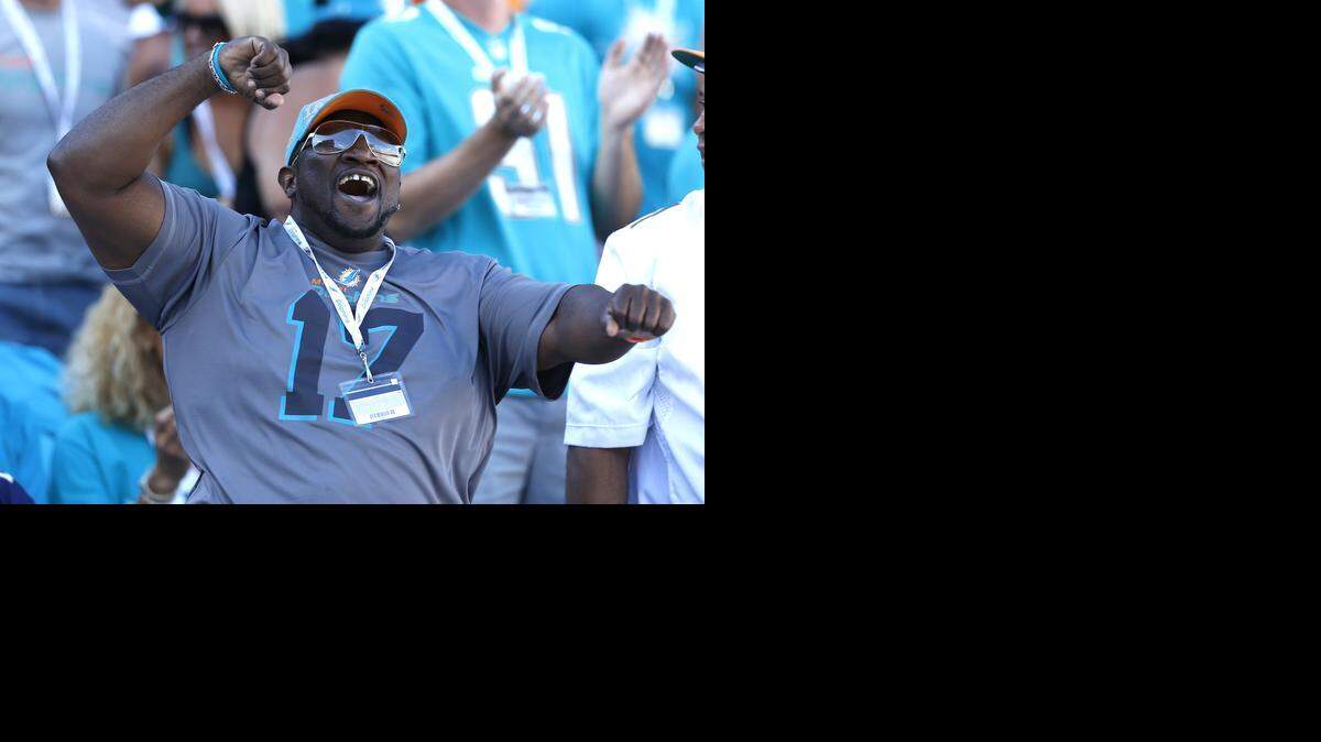 
Miami Dolphins fan cheers as they overwhelm the San Diego Chargers at Sun Life Stadium in Miami Gardens, Florida, on Sunday, Nov. 2, 2014.
