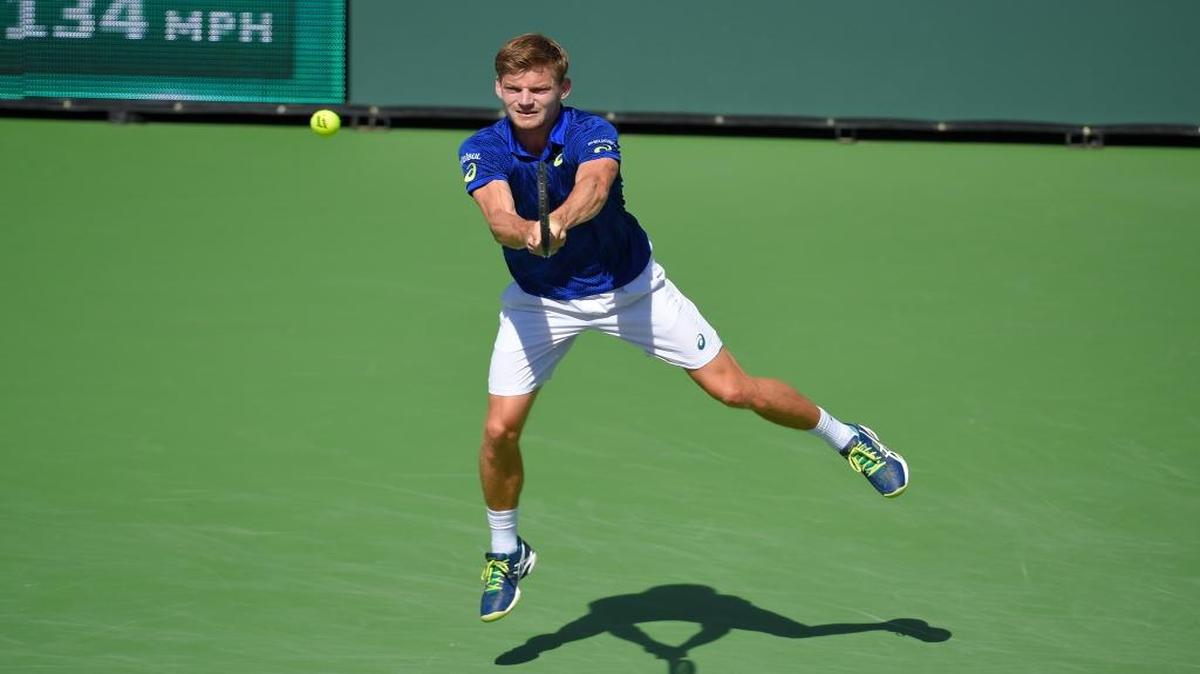 David Goffin