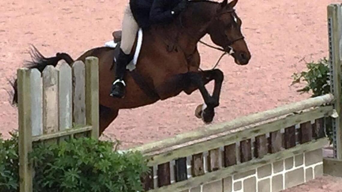 U.S. Equestrian Federation recognizes Palmer Trinity’s Sara White