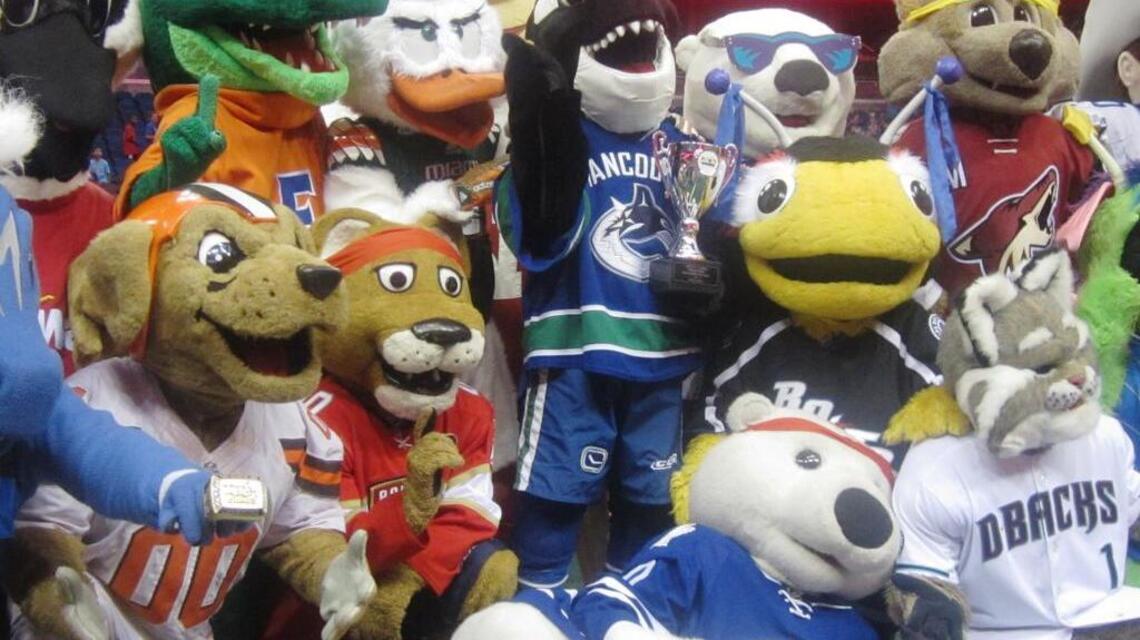 Wawa Mascot Games for New Hope for Kids in Orlando