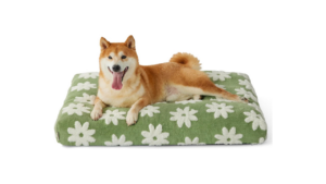 offerpad vs opendoor